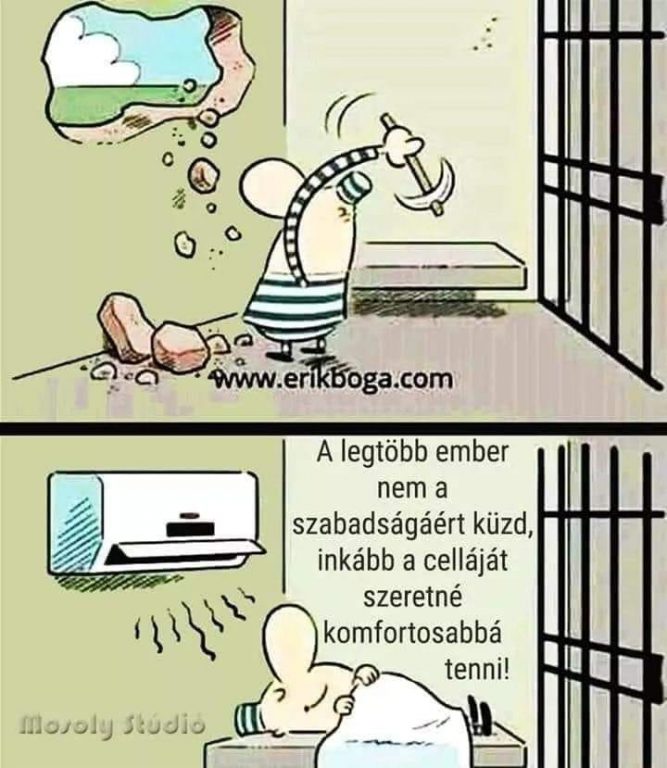 komfort komfort